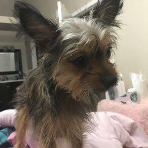 Meet your Posher, Kevin